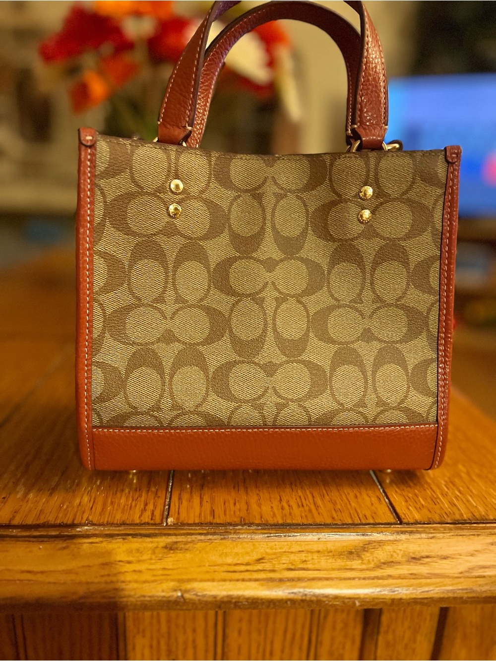 Coach x CE851 Signature Khaki/Redwood Multi Snoopy Patch Tote 22 - Picture 9 of 15